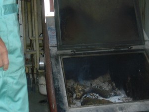 薪を入れてのウッドボイラー。