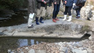 洲本2枚目IMAG0214-1